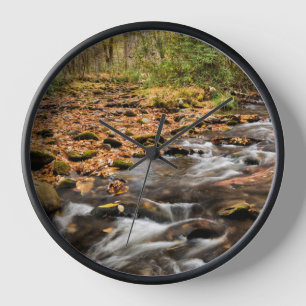 Reloj Arroyo Cataloochee NC Grandes Montañas Humeantes
