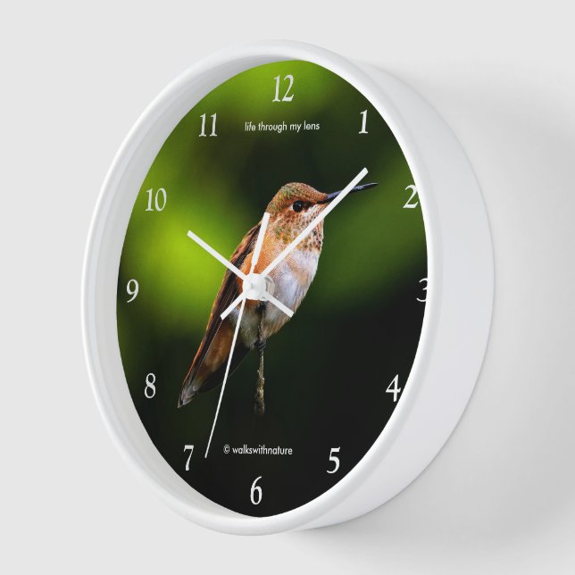 Reloj Asombroso colibrí rufoso sobre árbol de frutas (Ángulo)
