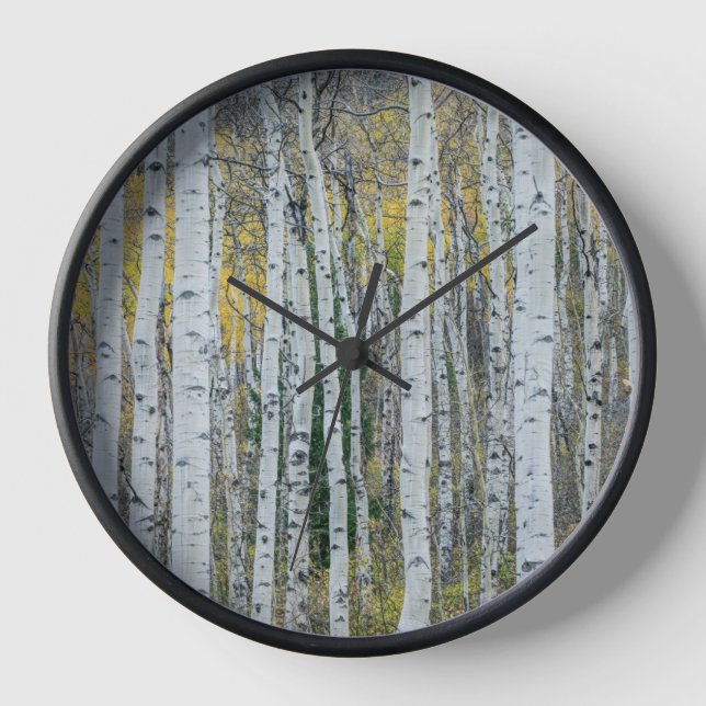 Reloj Aspen Tree Trunks | Aspen, Colorado (Anverso)