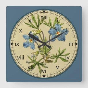 Reloj azul botánico de la flor de Curtis en 3 esti