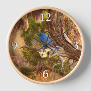 Reloj Azulejo Montañés en el Parque Nacional Arches