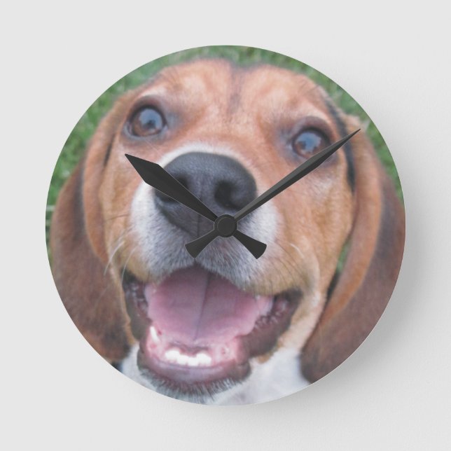 Reloj beagle de cachorro (Anverso)