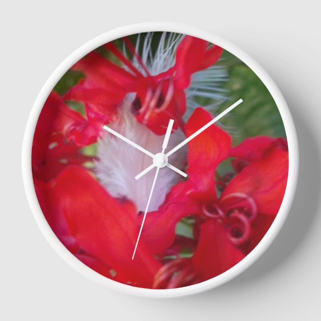 Reloj Belleza Delicada: Flor roja con pluma blanca (Anverso)