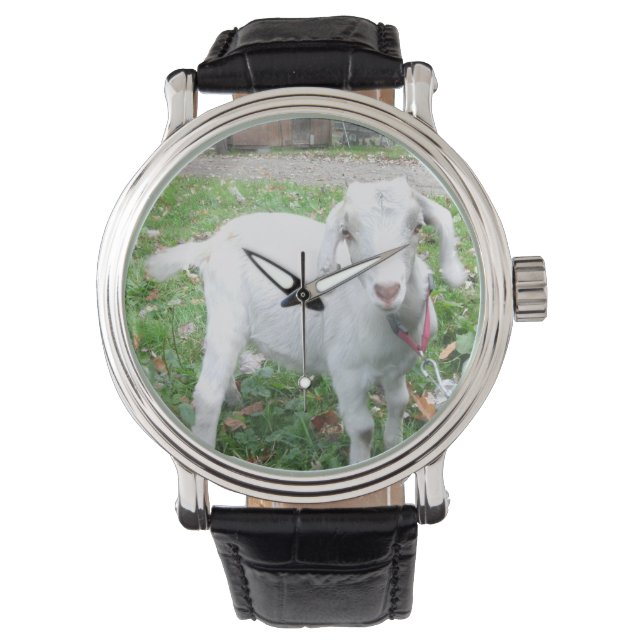 Reloj blanco de cabras (Anverso)