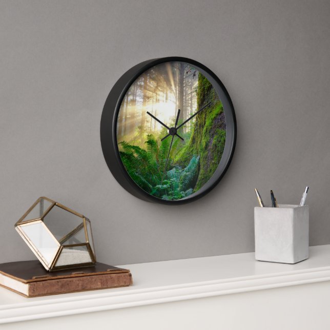 Reloj Bosque de la costa del Pacífico, Oregón (Oficina)