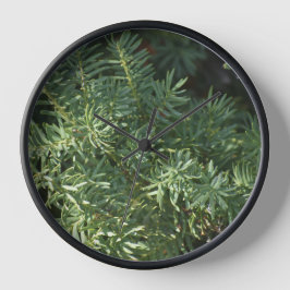 Reloj Bosque de Pino