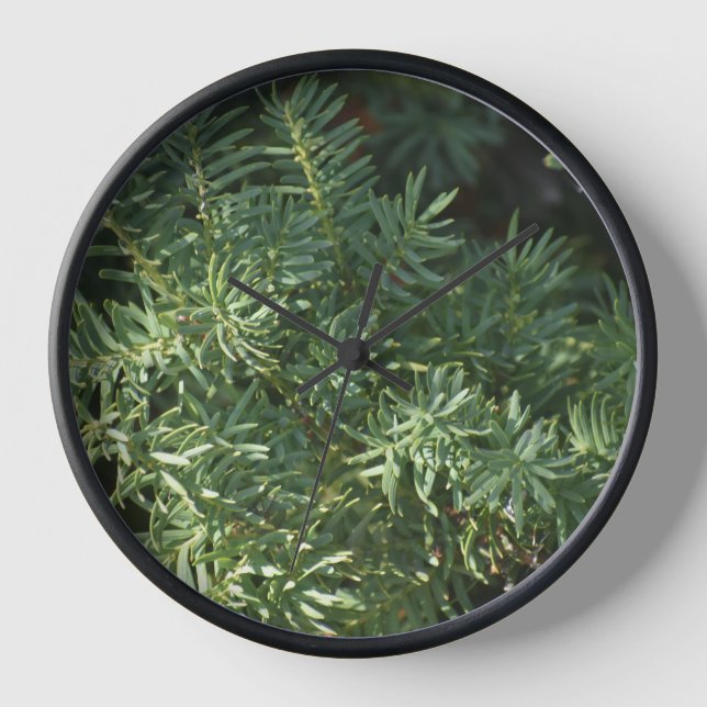 Reloj Bosque de Pino (Anverso)