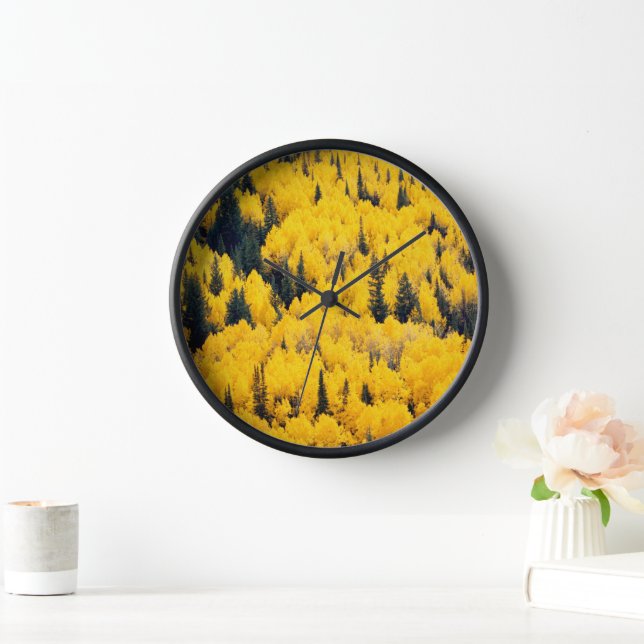 Reloj Bosque nacional del río Blanco | Aspen, Colombia (Hogar)