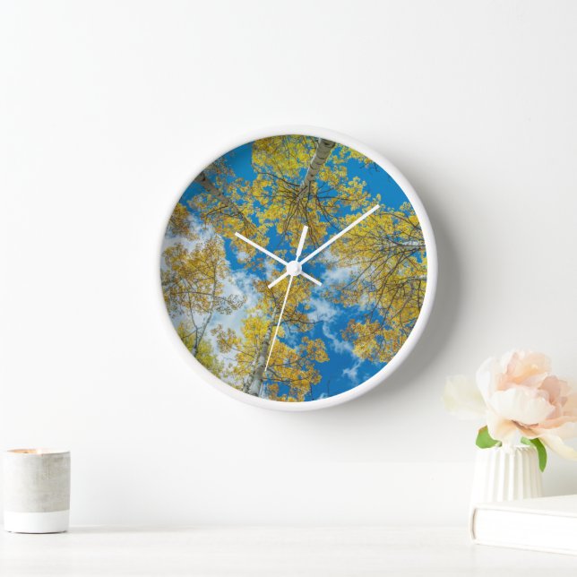 Reloj Bosque Nacional Gunnison Colorado (Hogar)