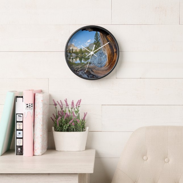 Reloj Bosque Nacional Inyo, California (Sala de lectura)