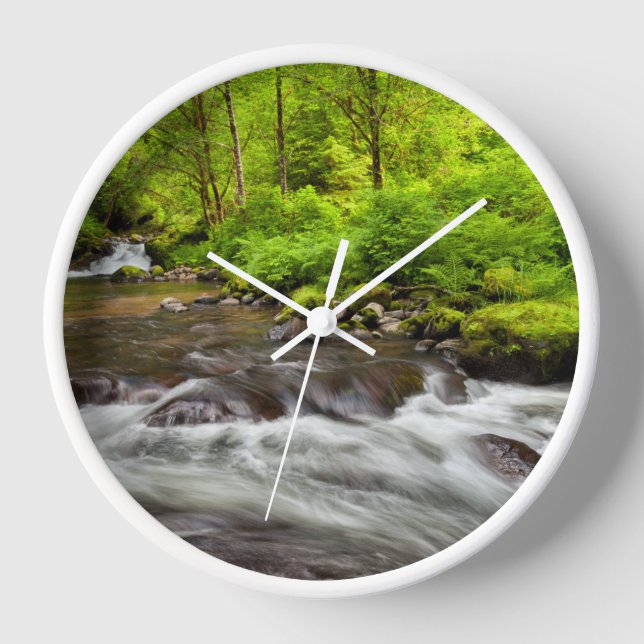 Reloj Bosque Nacional Siuslaw, Creek dulce, Oregón (Anverso)