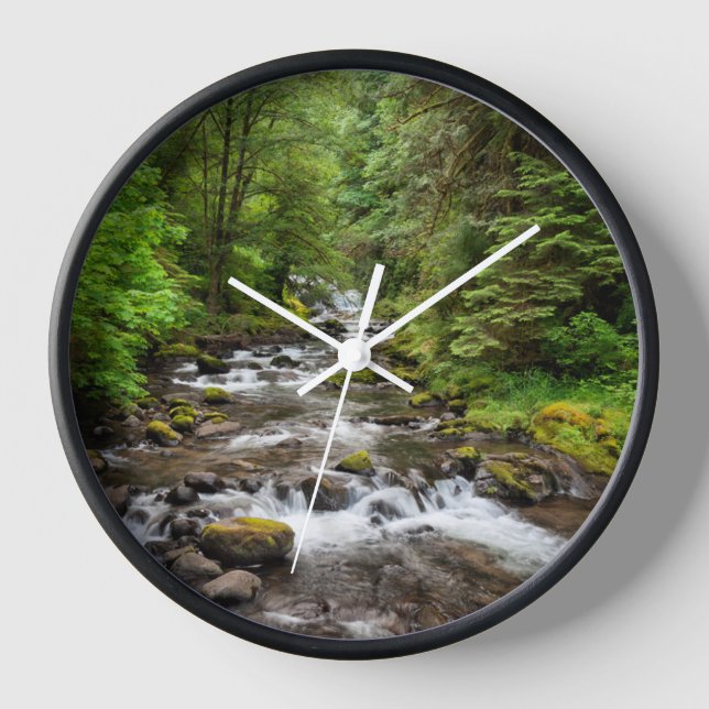 Reloj Bosque Nacional Siuslaw | Sweet Creek (Anverso)
