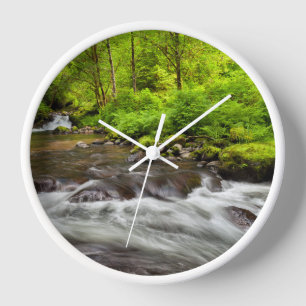 Reloj Bosque Nacional Siuslaw, Sweet Creek, Oregon