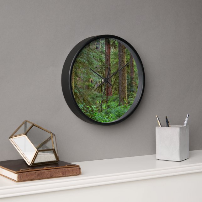 Reloj Bosque nacional Willamette | Oregón (Oficina)