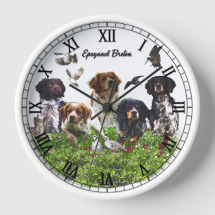 Reloj Brittany Spaniel
