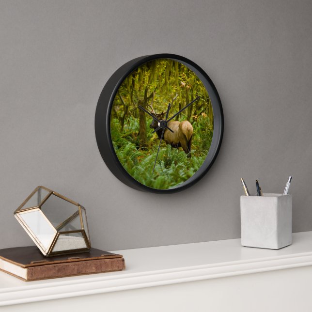 Reloj Bull Roosevelt Elk (Oficina)