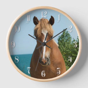 Reloj Caballo