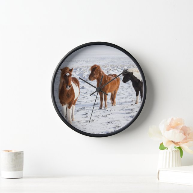 Reloj Caballo islandés con pelaje típico de invierno (Hogar)