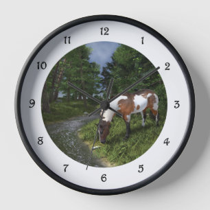 Reloj Caballo Pintado junto al Arroyo del Bosque