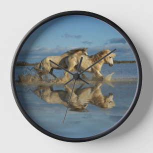 Reloj Caballos de Camargue y reflejo, sur de Francia