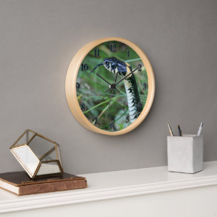 Reloj Cabeza de serpiente