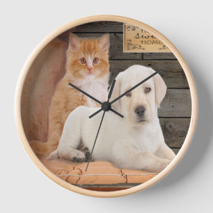 Reloj Cachorro