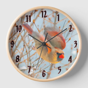 Reloj Cardenal norte volando - Fotografía original