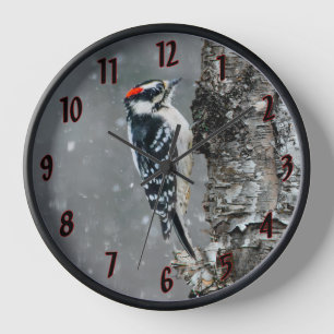 Reloj Carpintero lechoso en nieve - Fotografía original