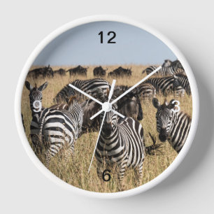 Reloj Cebra de Grant