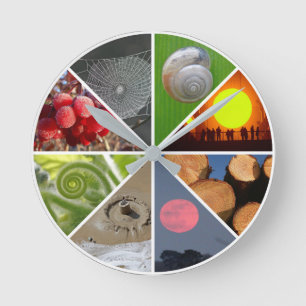 Reloj circular en la naturaleza