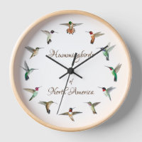 Colibríes de América del Norte