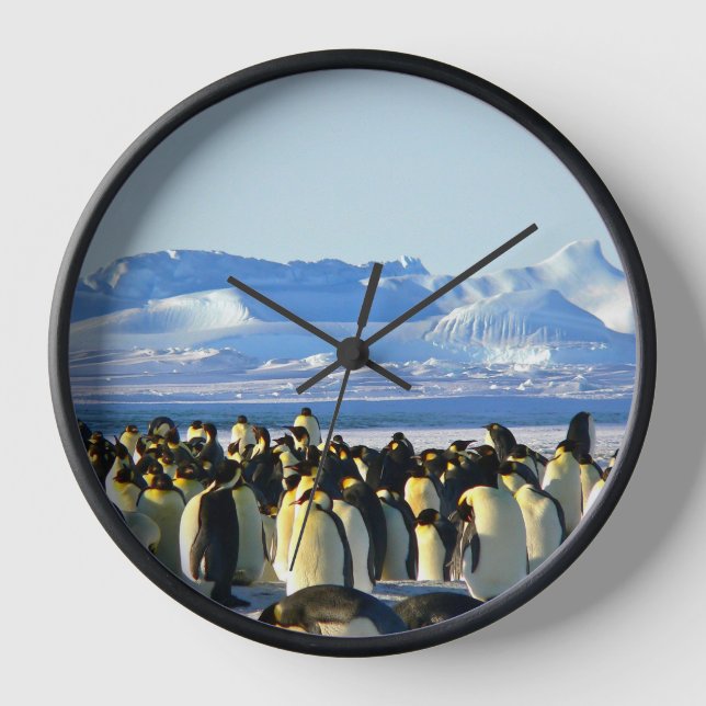 Reloj Colonia pingüino sobre hielo (Anverso)