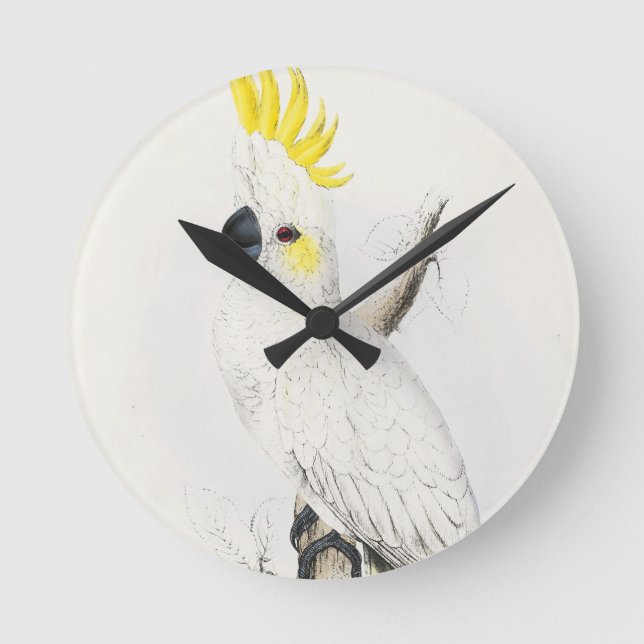Reloj con cresta amarillo del Cockatoo (Anverso)