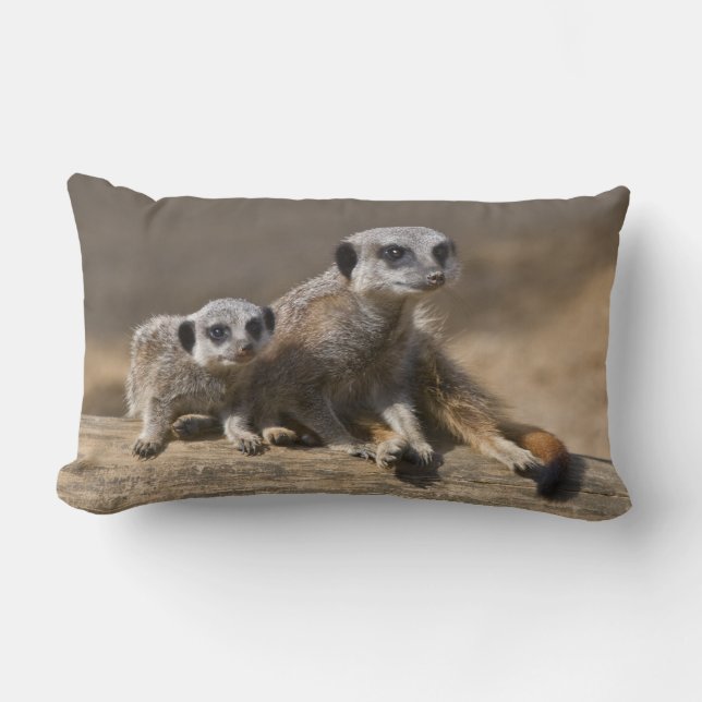 Reloj con la almohada de la madre (Anverso)