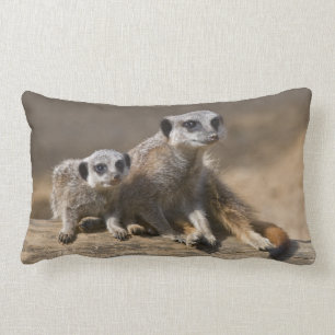 Reloj con la almohada de la madre