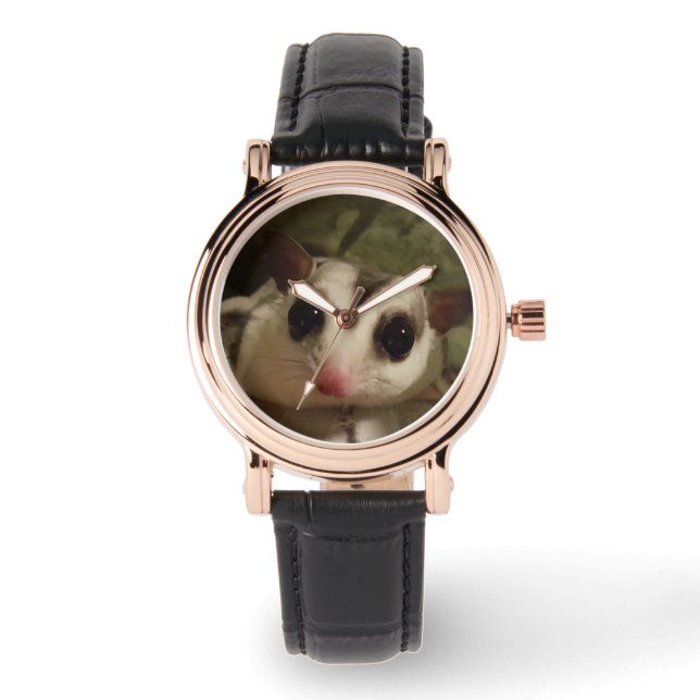 Reloj con planeador de azúcar (Anverso)