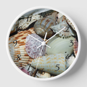 Reloj conchas marinas
