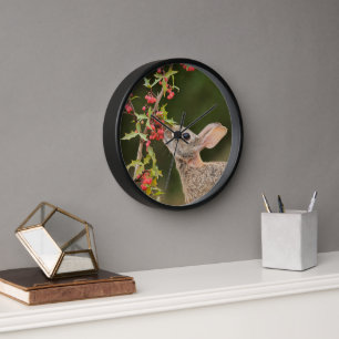 Reloj Cottontail oriental Texas del Sur