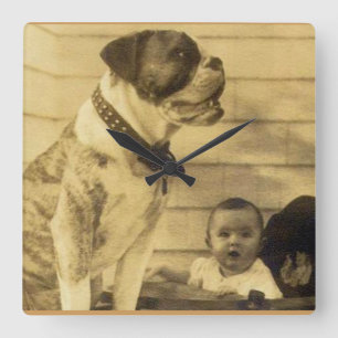 Reloj Cuadrado 1920s pitbull guards baby