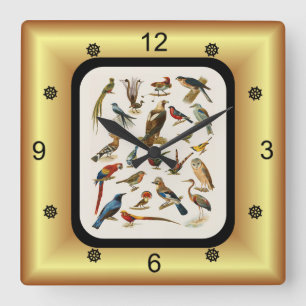 Reloj Cuadrado 22 especies de aves exóticas ~ L. Prang & Co.