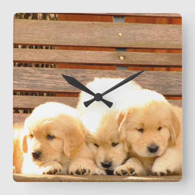 Reloj Cuadrado 3 Puppies Clock (Anverso)