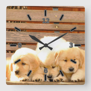 Reloj Cuadrado 3 Puppies Clock (With Numbers)