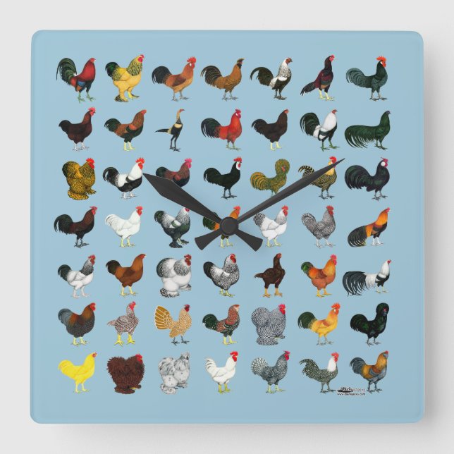 Reloj Cuadrado 49 gallos (Anverso)