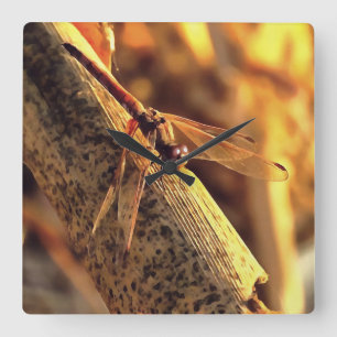 Reloj Cuadrado 534424932Elegante Red Darter Dragonfly Insect Art