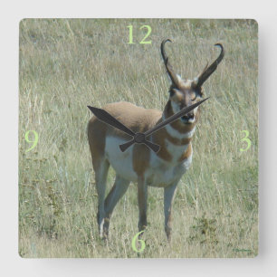 Reloj Cuadrado A13 Pronghorn Antelope Buck