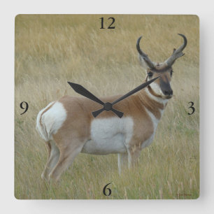 Reloj Cuadrado A1 Pronghorn Antelope Big Buck