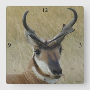 Reloj Cuadrado A5 Pronghorn Antelope Big Buck Head