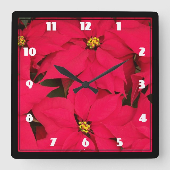 Reloj Cuadrado A bunch of Brightly Colored Christmas Poinsettias (Anverso)