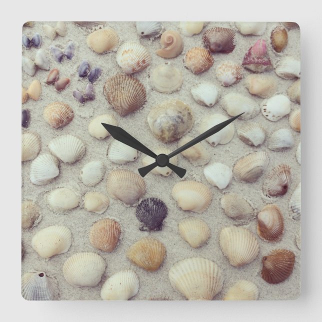Reloj Cuadrado A Collection Of Seashells (Anverso)