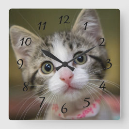 Reloj Cuadrado A cute kitten with green eyes